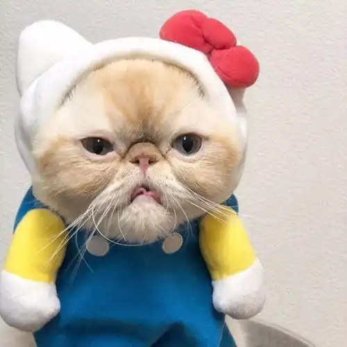  头像壁纸为你静候,一生为期