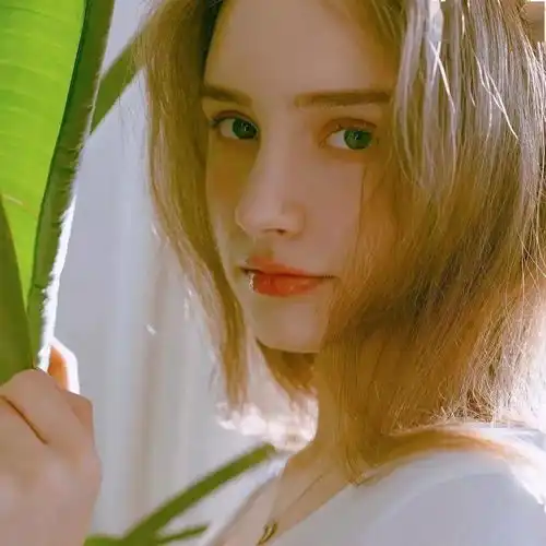  一波好看的头像