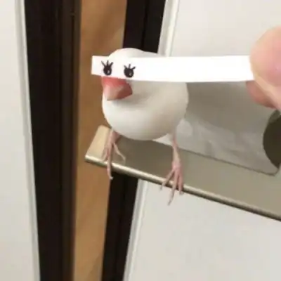  多人团队沙雕头像