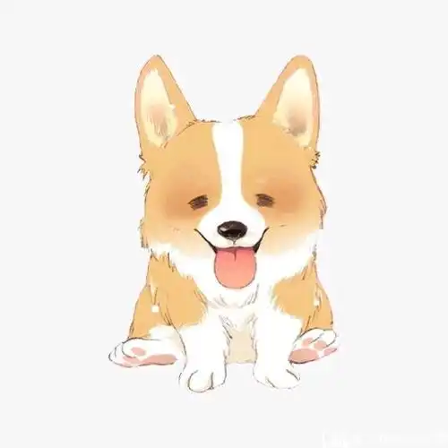  up主chinaboy腾需要你们,你,关注我了没