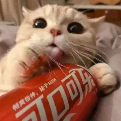  头像守一段情,思一个人