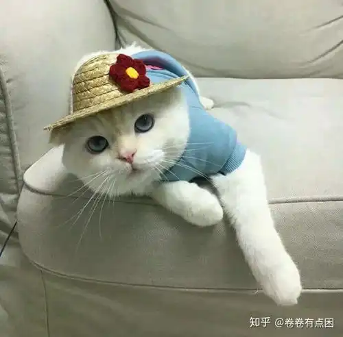  他说想换个情头,找完他说都不好看,他大我五岁他说我们有代沟我在想换个头像都不愿意让着我的人真的爱我么