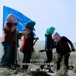  蚂蚁森林里的男人女人和羊