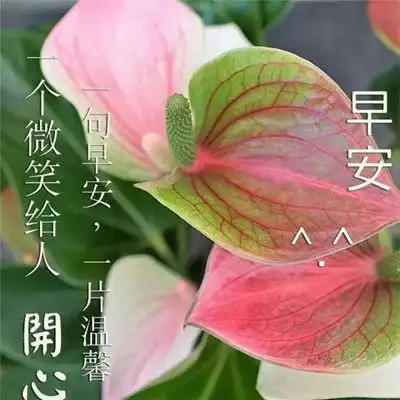  2023最新早晨好早上好漂亮问候祝福图片头像