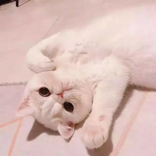  100张超好看的情侣头像甜甜甜到心窝进来拿图