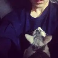  狗的微信头像逗比微信头像图片大全