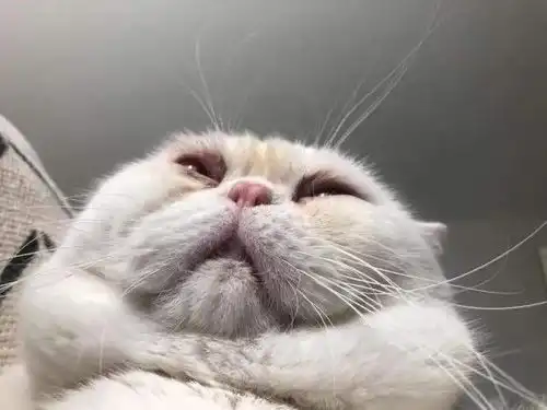  为什么有的富二代喜欢找个普通工作上班