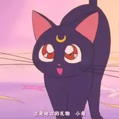  美少女战士露娜猫头像图片大全