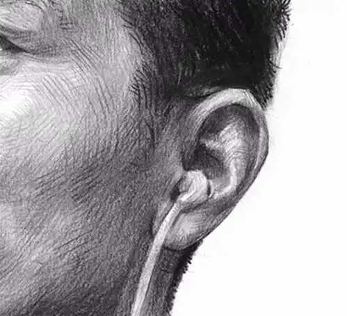  素描头像局部耳朵一定要知道的绘画要点