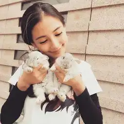  有没有这张图片的原图