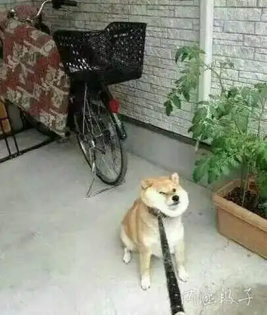  求一些女攻男受的动漫情侣头像,越多越好,有追赏