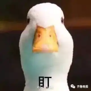  新任务校方要求家长轮岗值勤......网友都吵疯了