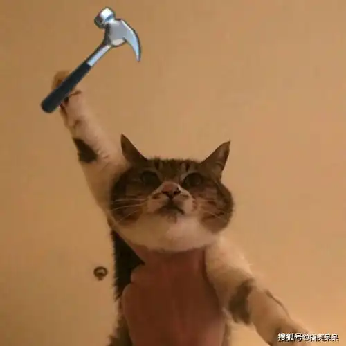  微信搞笑头像搞笑头像图片大全搞笑头像女生男生通用高清逗比沙雕搞笑头像