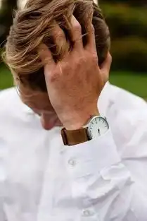  北京一套房换了一块表,竟输给998不到的小众品牌