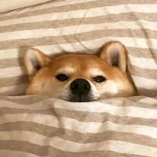  湿冷来袭周三有大雨,金华近期回温无望