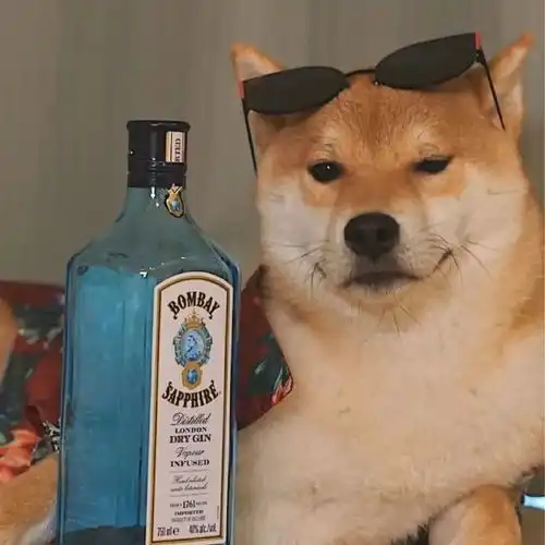  头像反正咸着也是咸着不如甜一下