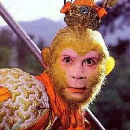  情侣头像搞笑逗比两张,不是人的宠物的真人的都有