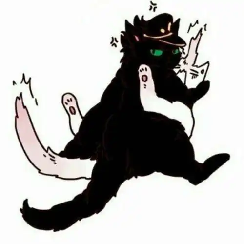  这是一个情侣头像,还有另一张的,就是黑猫白猫抱在一起亲亲的