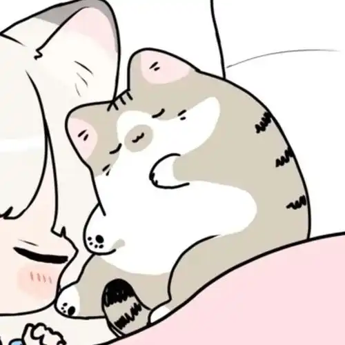  动漫情头丨对象不是人情头