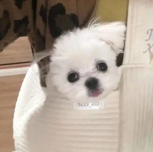  头像和你在一起