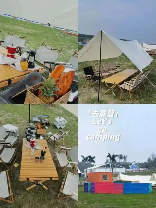  别等了,快出发吧这份西乡塘冬游攻略带你玩转冬日