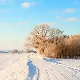  唯美的冬季雪景微信头像