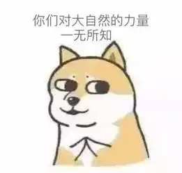  你的爱情鸟已经飞到了麦咭小厨并说了句真香