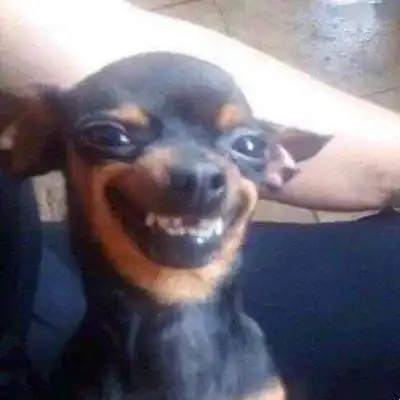  沙雕系个性微信头像