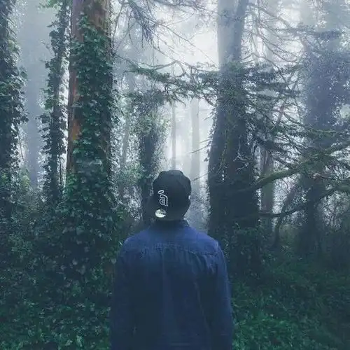  渡劫之王无罪新书震撼发布