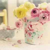  独一无二的花朵头像微信头像图片大全