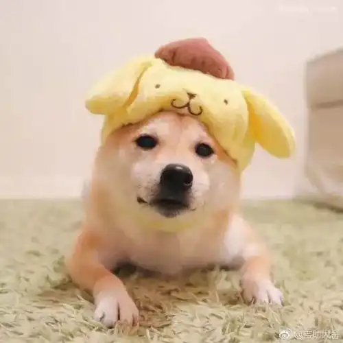  今日份头像躺着,会看见星空呢