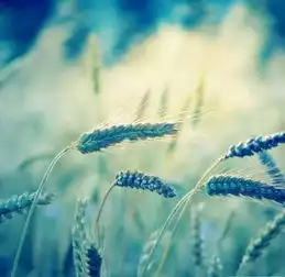  记住我们共同走过的岁月