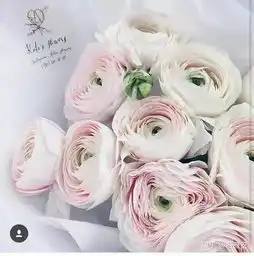 闺蜜过生日送花的话,送什么花比较好