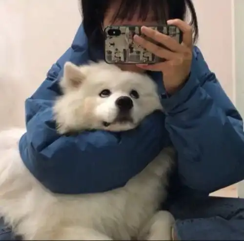 换上可爱情头拥有一天的好心情,需要请自取哦