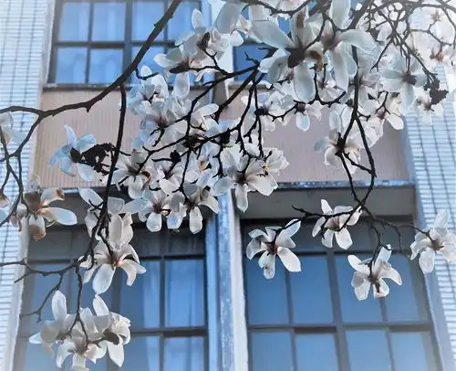  独宠你丨南理工人,为你定制的专属头像来啦