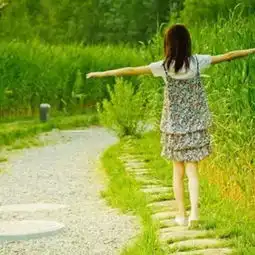 南飞雁