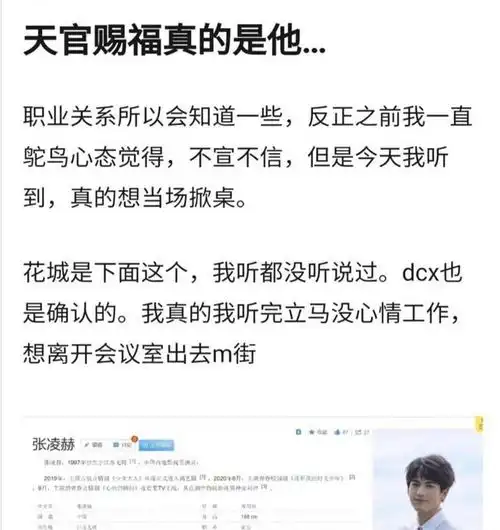  天官赐福选角已定,张凌赫饰演花城,马闻远饰演谢怜