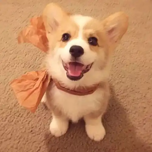  壁纸错失思聪一万块的进来交流一下感想