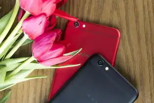  朋友说oppor9s最适合情人节听他分析好像有道理