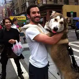  哈士奇半夜发现起火,叫醒主人救出全楼住户自己却葬身火海