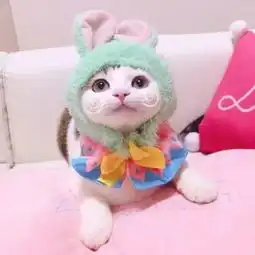  全网最甜的情侣头像,学生不用偷偷用,图一老师假装看不懂