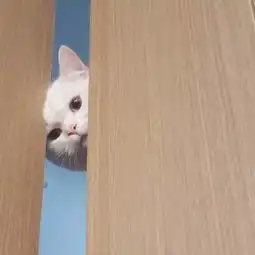  头像和喜欢的一切保持距离