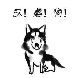 萌宠主人的正确打开方式,看过来