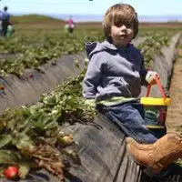  萌娃的情侣头像一左一右