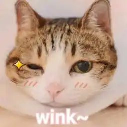  有哪些值得推荐的很可爱很特别的情侣头像