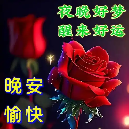  2024年6月20日周四早安图片祝福语,试着不为明天而烦恼,不为昨天而叹息,只为今天更美好周四早安周四早安如花快乐早上好清晨祝福语手机网易网