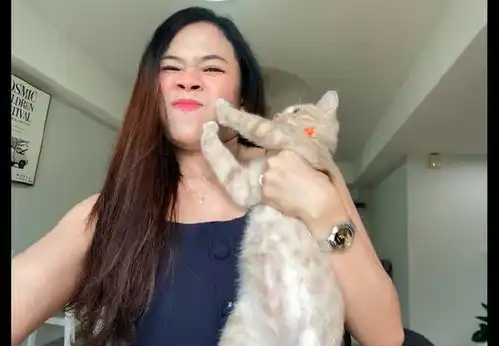  男女主人抱猫咪的时候,它完全是不同的反应,这就是喵界双标吗