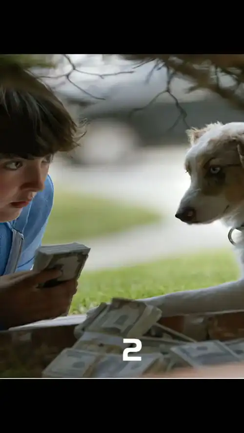  这可不是一般的狗,不爱骨头只爱钱电影解说搞笑电影求涨粉