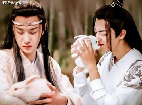  陈情令番外103出乎意料,兔子被藏起来,得知真相的魏婴很无奈