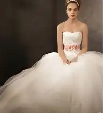  网友美国亲历真人verawang